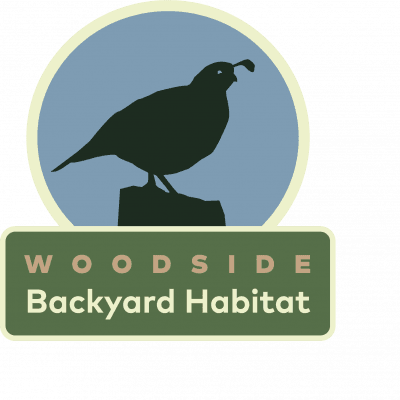 Woodside Backyard Habitat - Quail